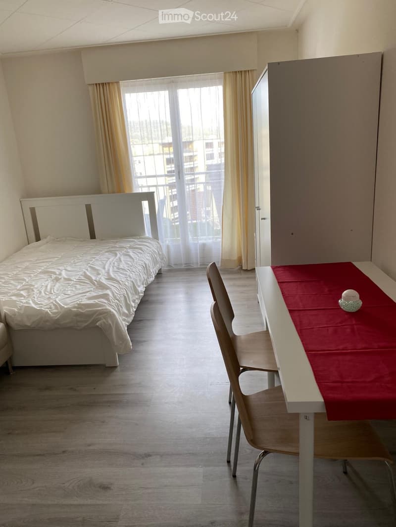Furnished apartment with private bathroom and kitchen (1)