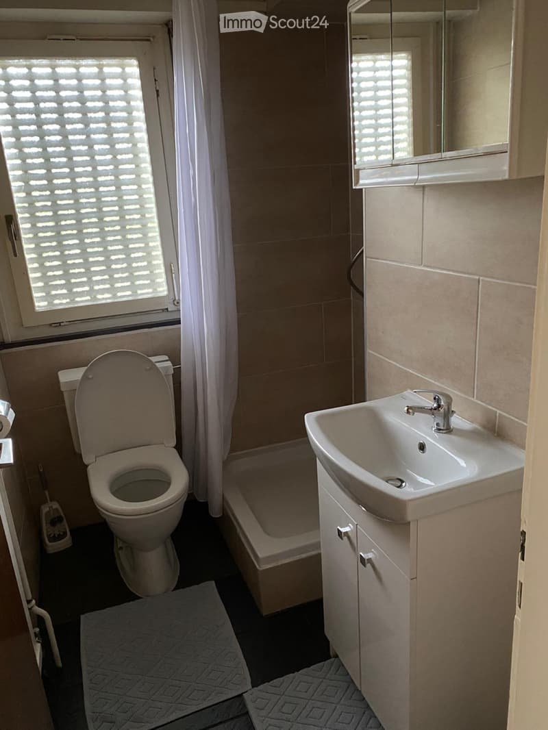 Furnished apartment with private bathroom and kitchen (4)