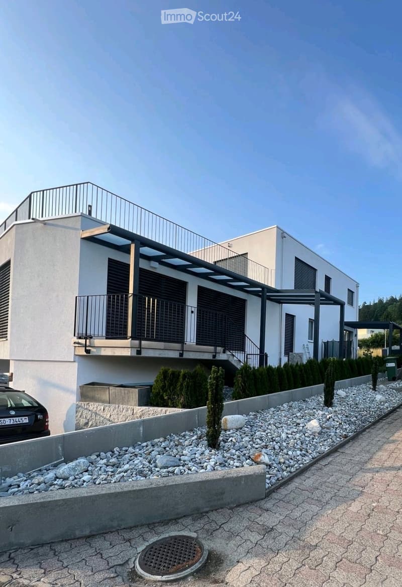 Appartement moderne de 4,5 pièces à Reinach AG (1)