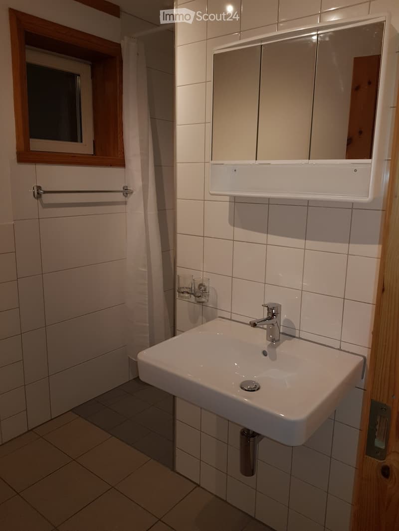Appartement 2 pièces partiellement meublé (4)