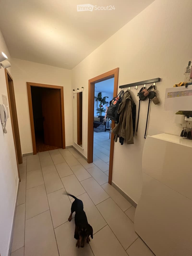 Subentrate per ampio 2.5 con giardino (3)