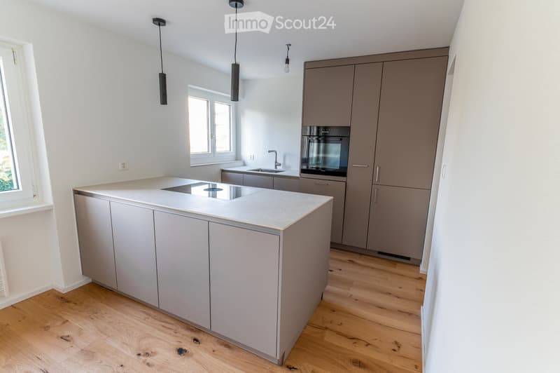 Appartement de 3,5 pièces rénové à neuf (5)