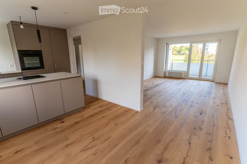 Appartement de 3,5 pièces rénové à neuf (1)