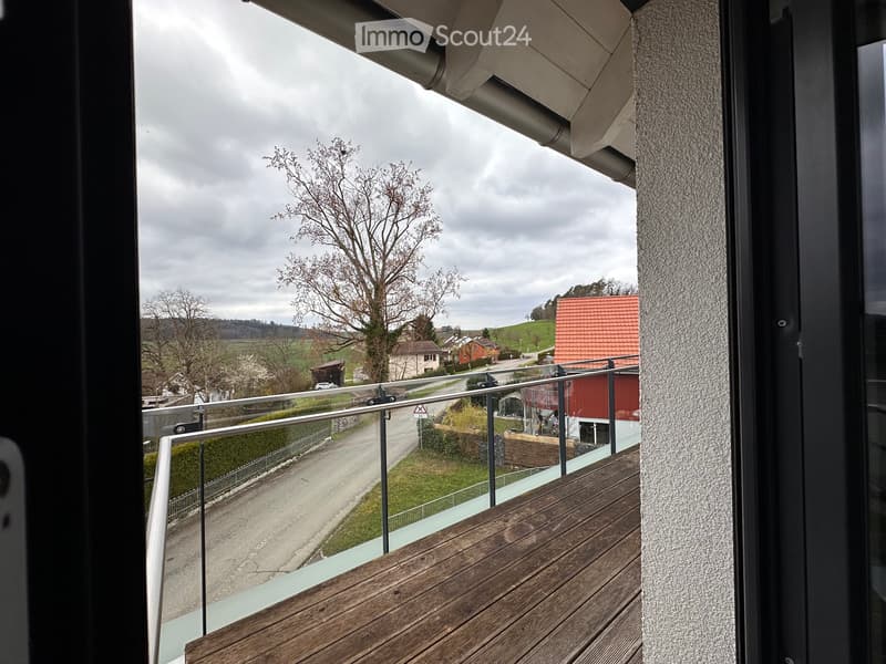 Appartamento 3.5 locali Lanzenneunforn (5)