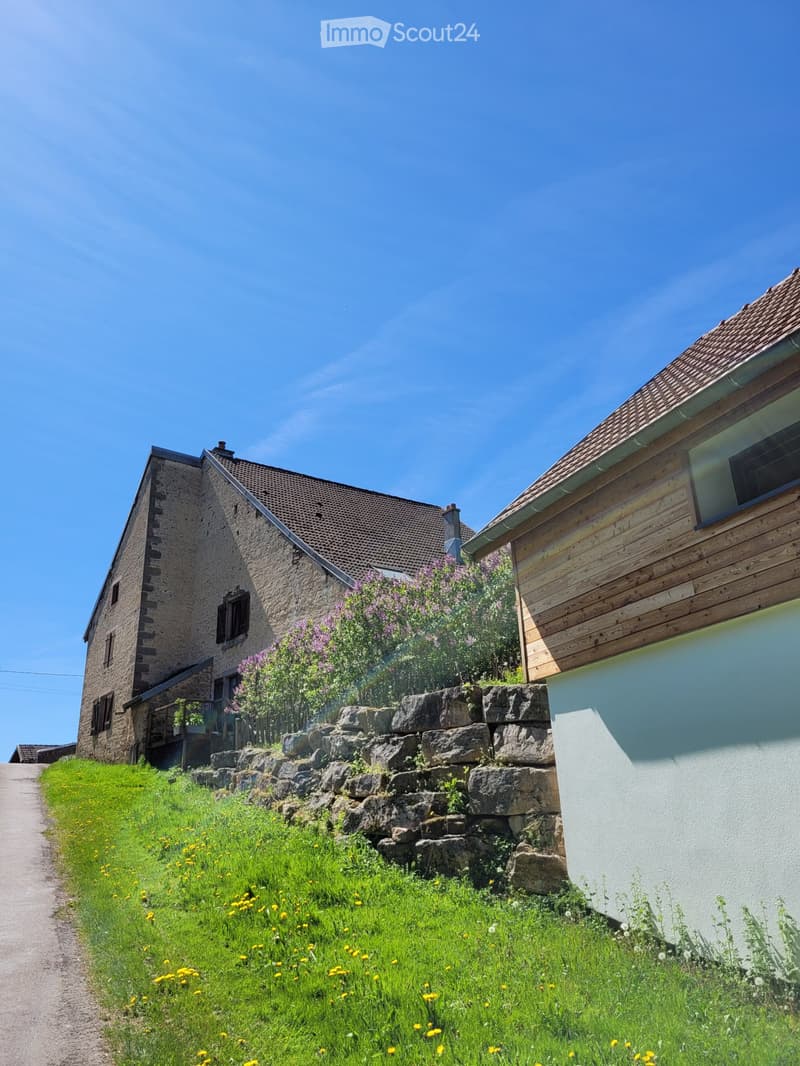 Maison 7 pièces à Belverne 200m2, chalet avec garage, jardin 3000m2 (1)