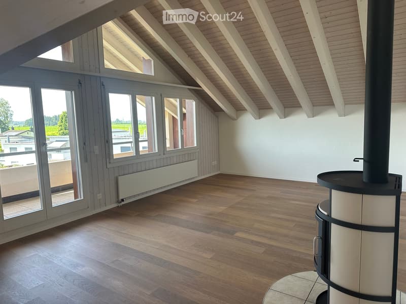 Appartement exclusif de 5,5 pièces (2)