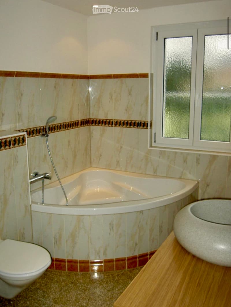 Appartement loft maisonnette de 2,5 à 4 pièces élégant à Bâle (2)