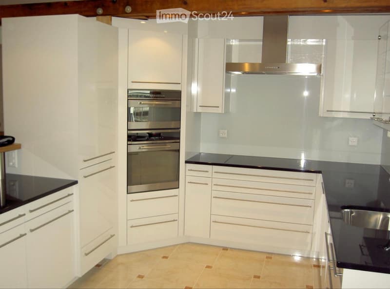 Appartement loft maisonnette de 2,5 à 4 pièces élégant à Bâle (1)