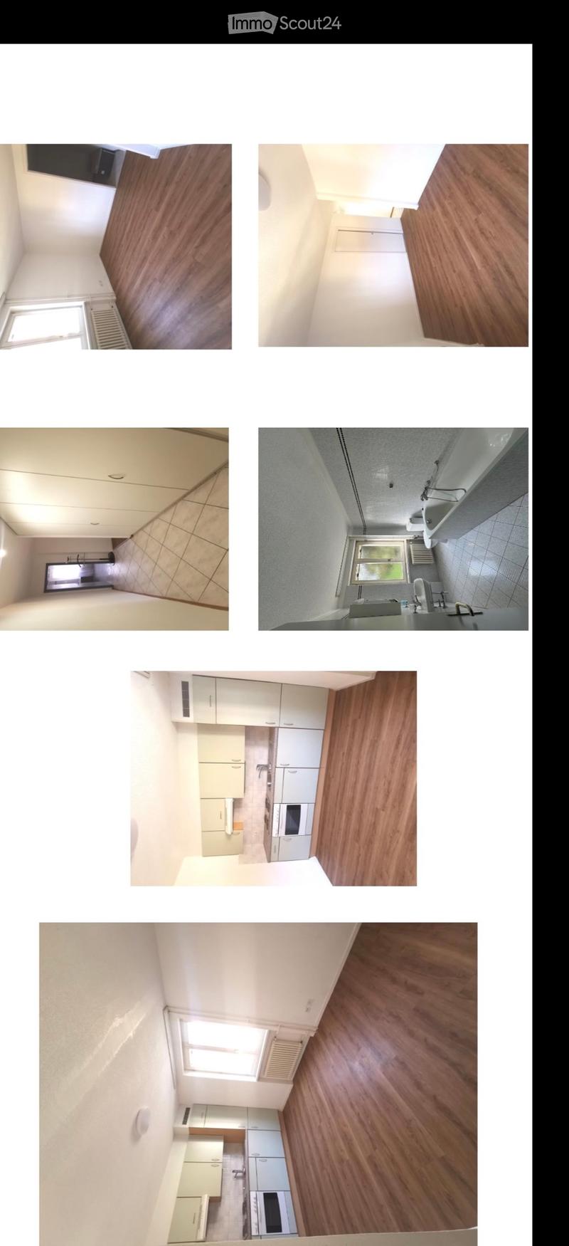 Appartement Lamone (1)