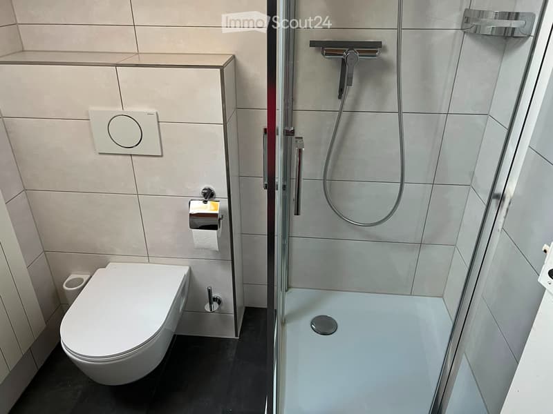 Maison unifamiliale de 6,5 pièces (5)