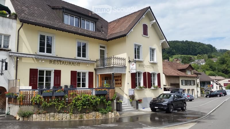 Opportunité d'investissement pour investisseurs/artisan (1)