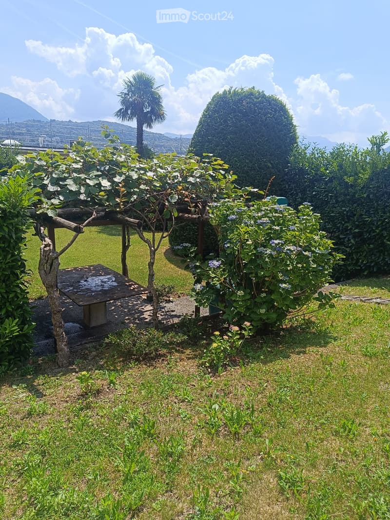 Belle villa à louer - maison unifamiliale à Manno (4)