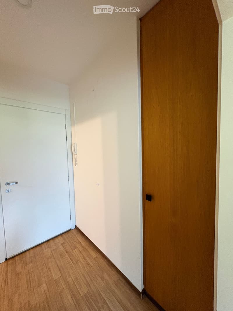 Cercasi subentrante Appartamento 2.5 locali a Tenero (9)