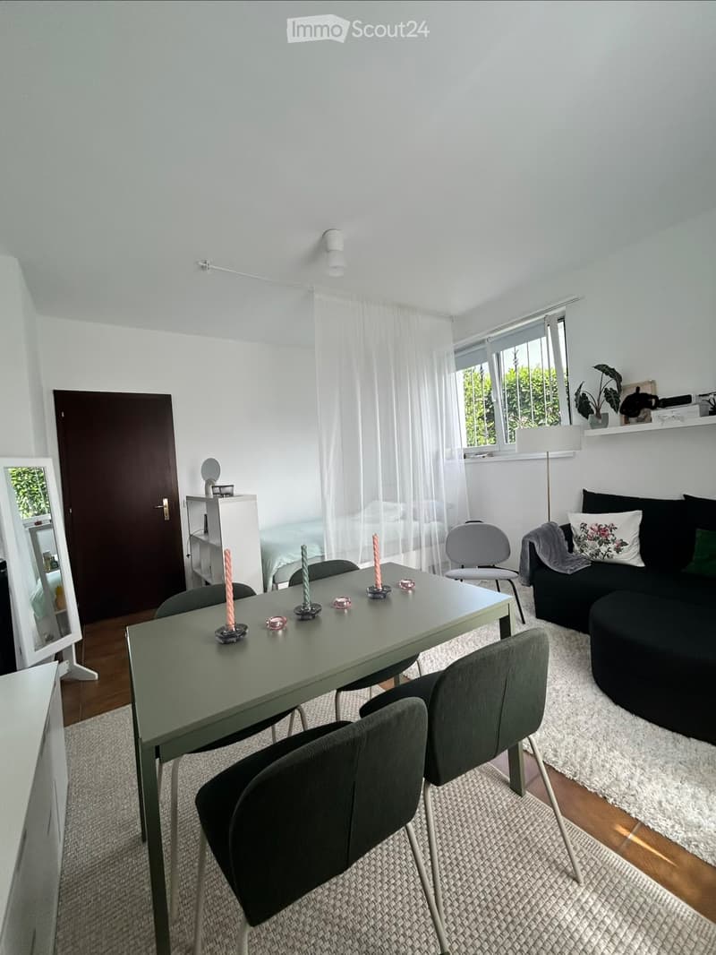 Appartamento 1.5 locali zona Sorengo (2)
