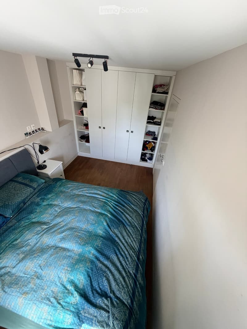 Sublet beautiful apartment Plainpalais top floor (2)
