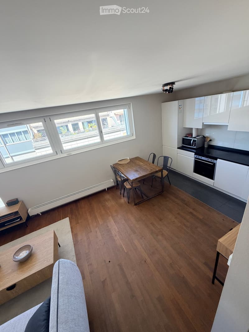 Sublet beautiful apartment Plainpalais top floor (5)