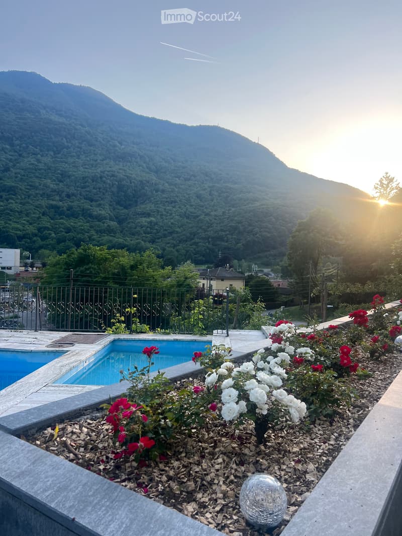 Appartamento 2.5 immerso nel verde con piscina (1)
