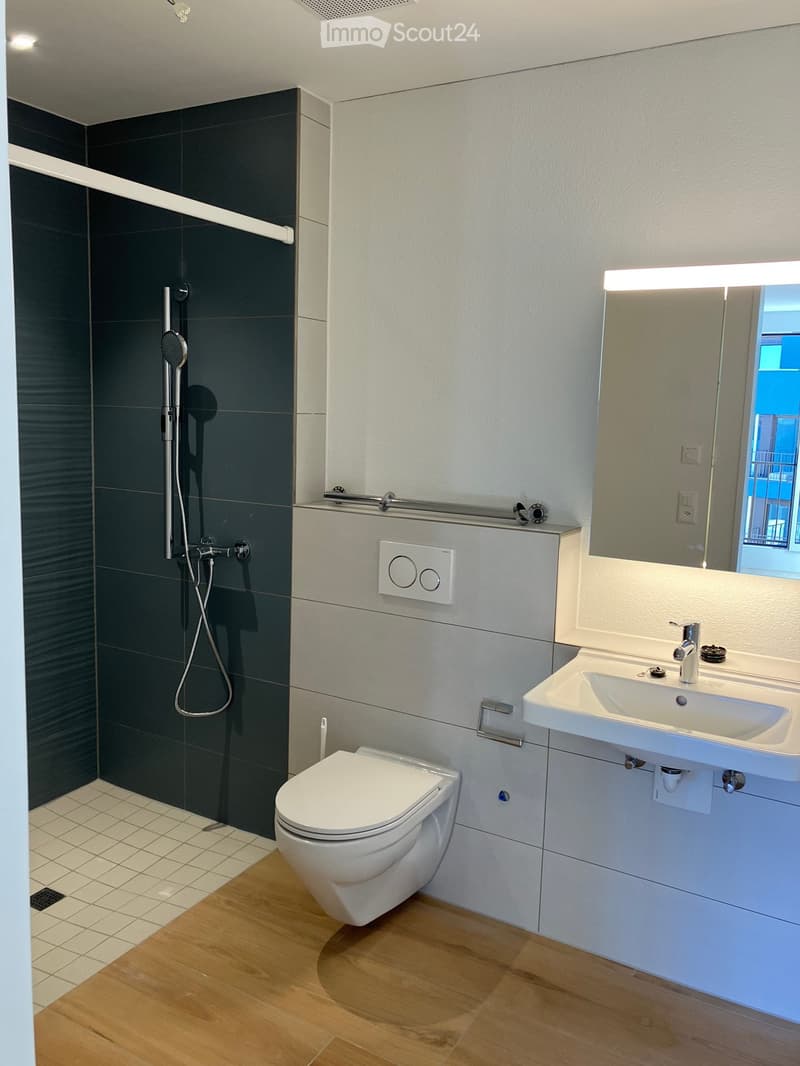 Appartement 4,5 pièces (neuf), limité du 1.10.2026 au 31.3.2028 (5)