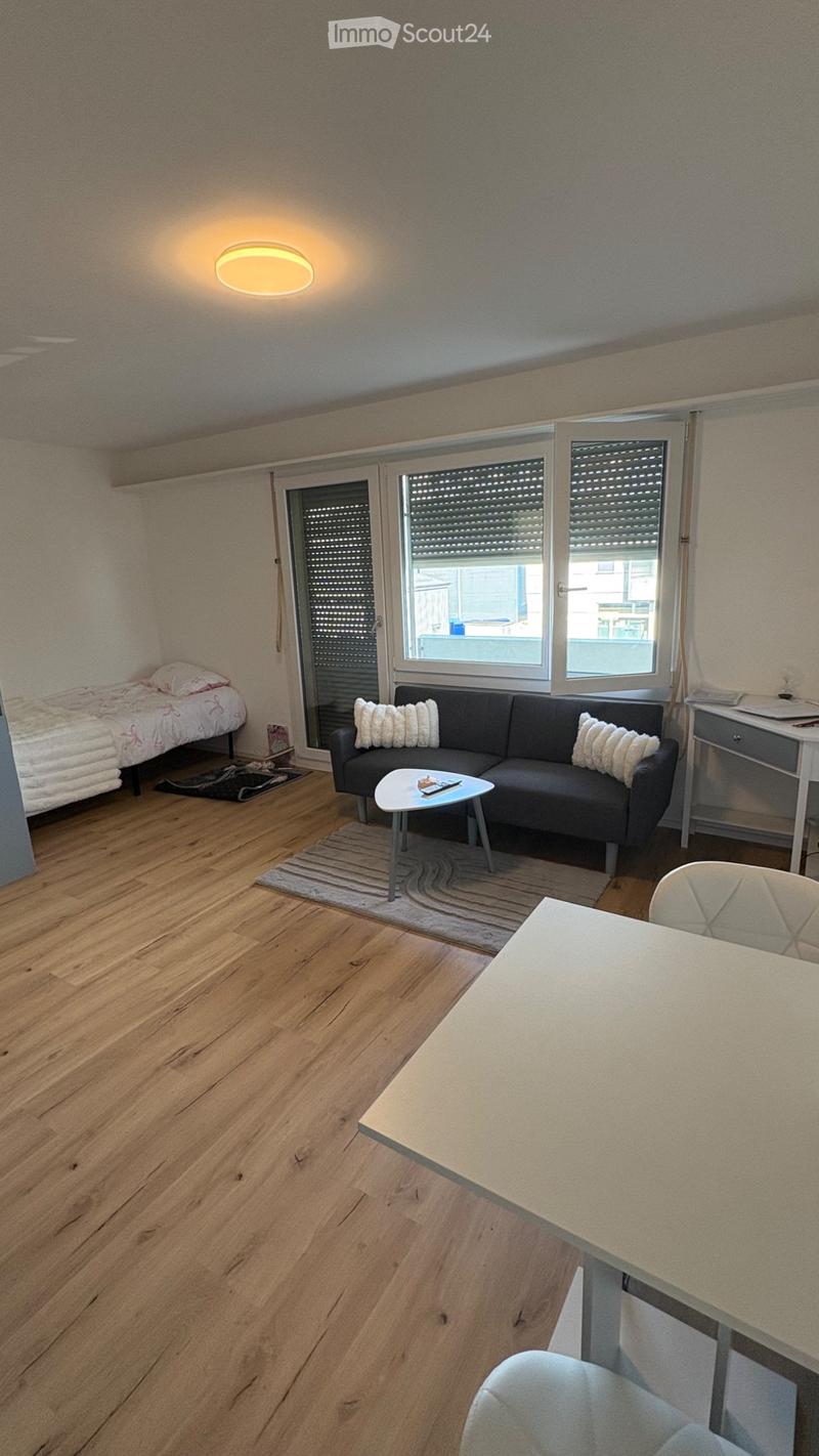 Appartement 1 pièce (2)