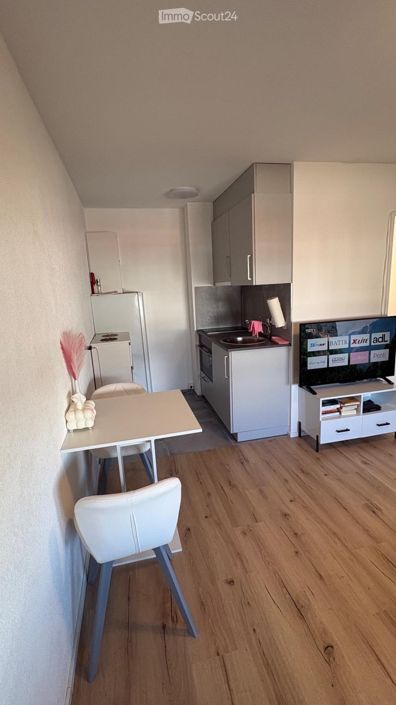 Appartement 1 pièce (3)