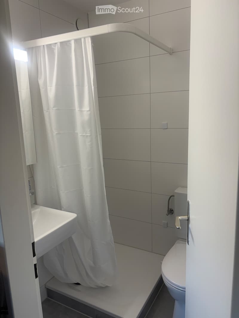 Appartement 1 pièce (4)