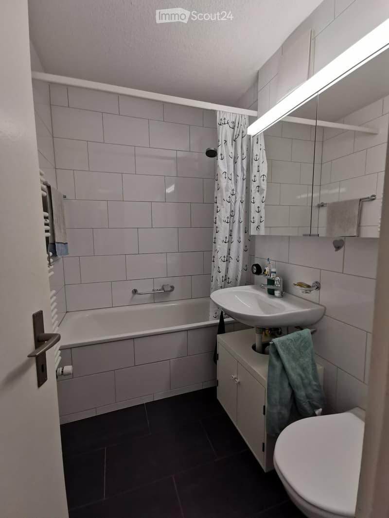 Appartamento luminoso 2,5 locali a Bremgarten per subaffitto. (4)