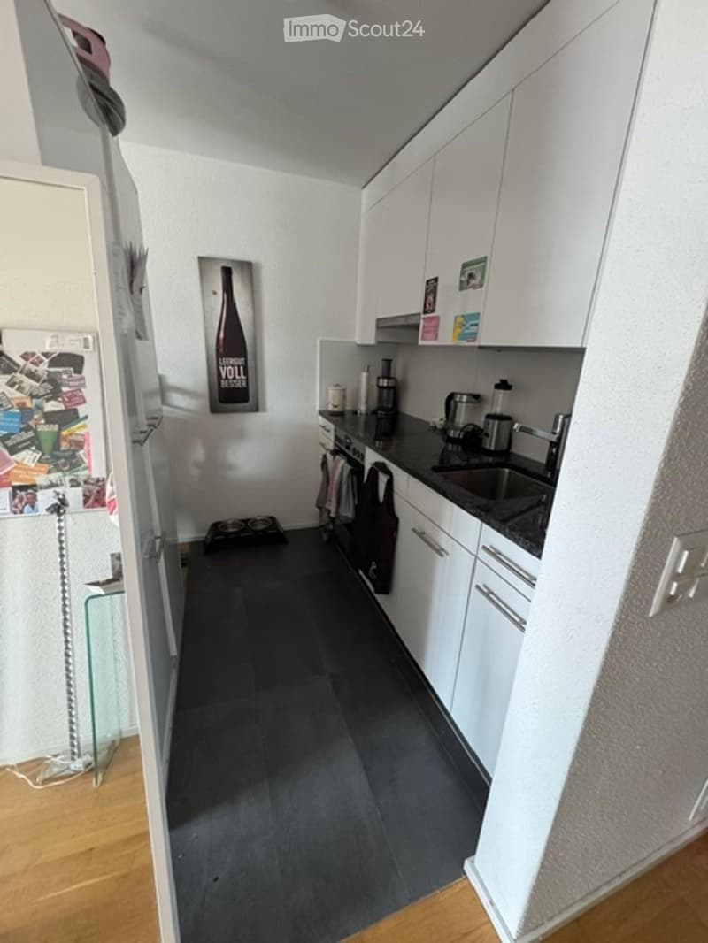 Appartamento moderno 3.5 locali con balcone nel distretto 12 (1)