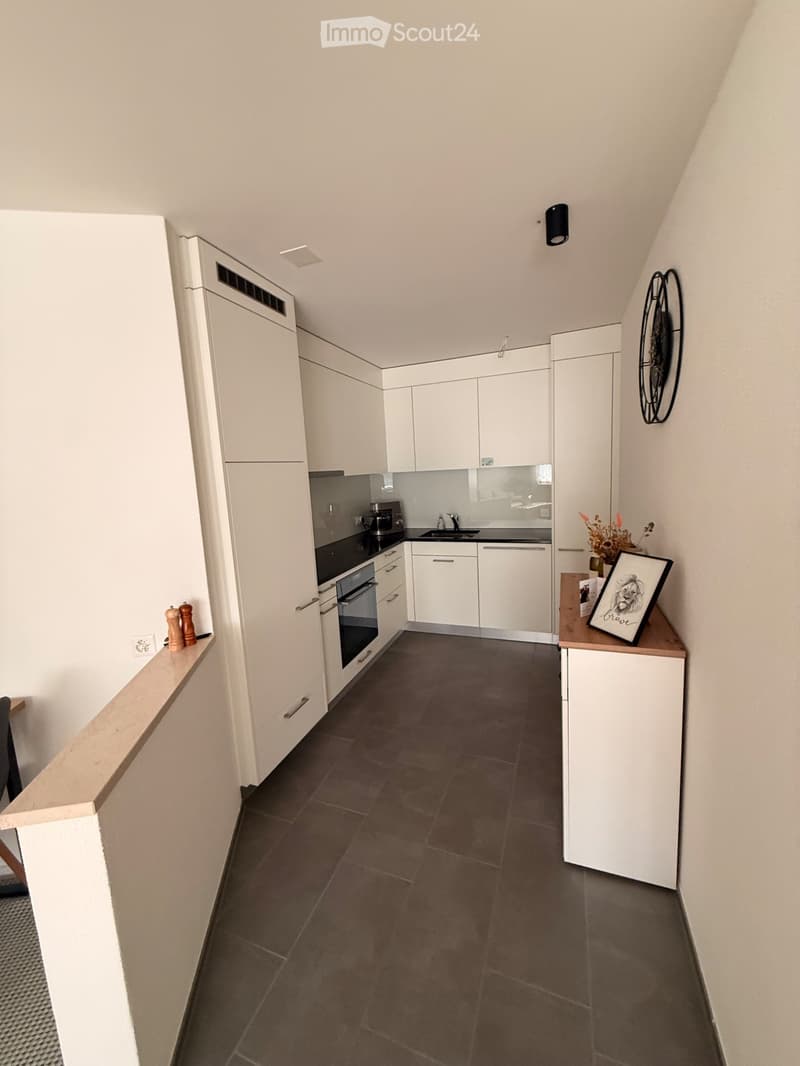 Bello appartamento di 2,5 locali (anche arredato) (2)