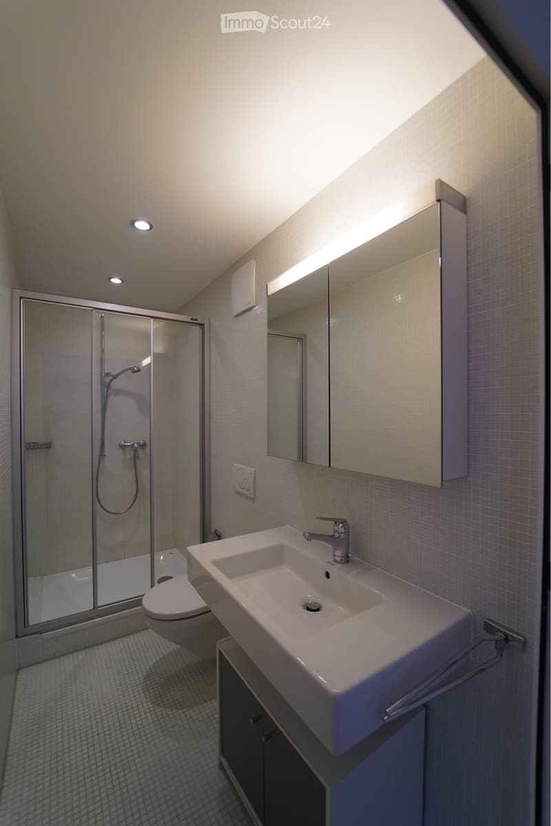 Bright 2-room apartment (3)
