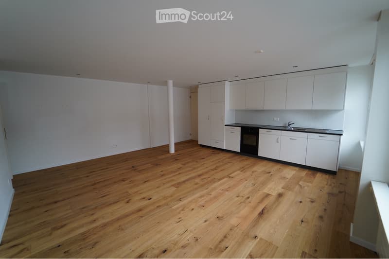 Bright 2-room apartment (1)