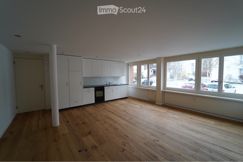 Bright 2-room apartment (2)