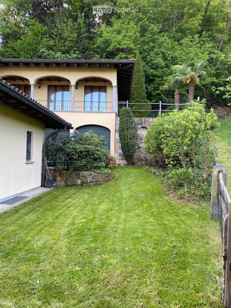 Affittasi importante villa immersa in un vigneto (5)