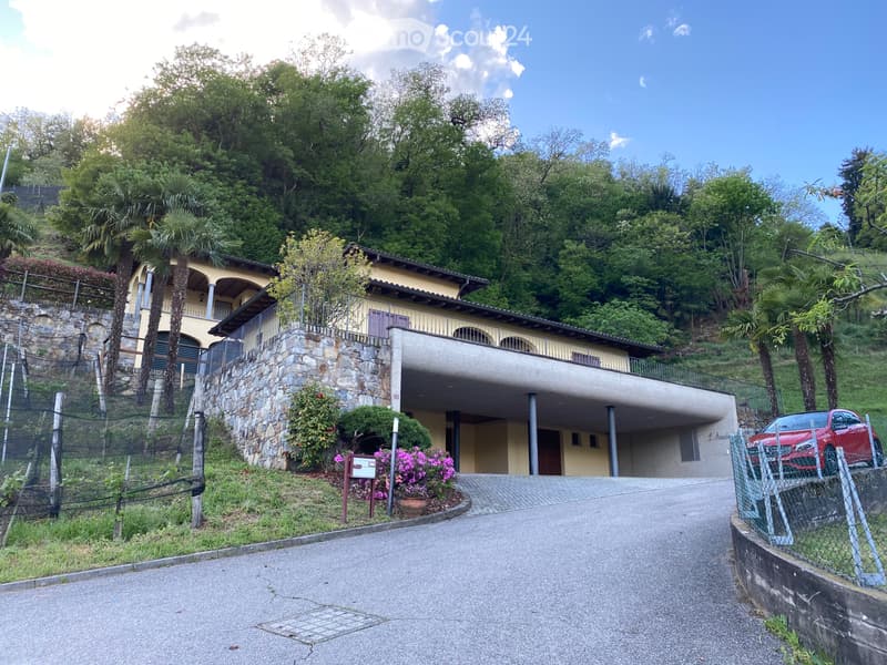 Affittasi importante villa immersa in un vigneto (1)