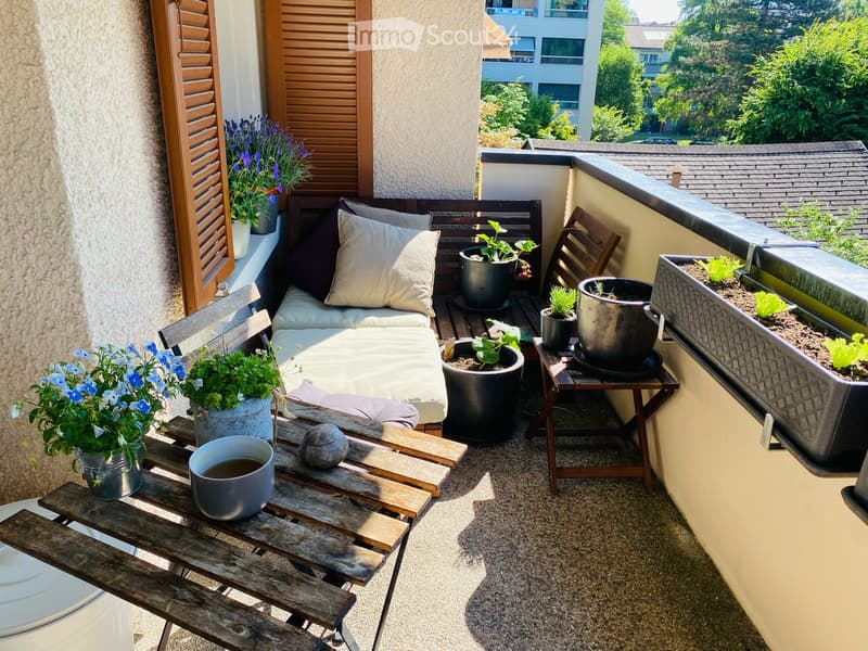 Wohnung 4 Zimmer zu vermieten (2)