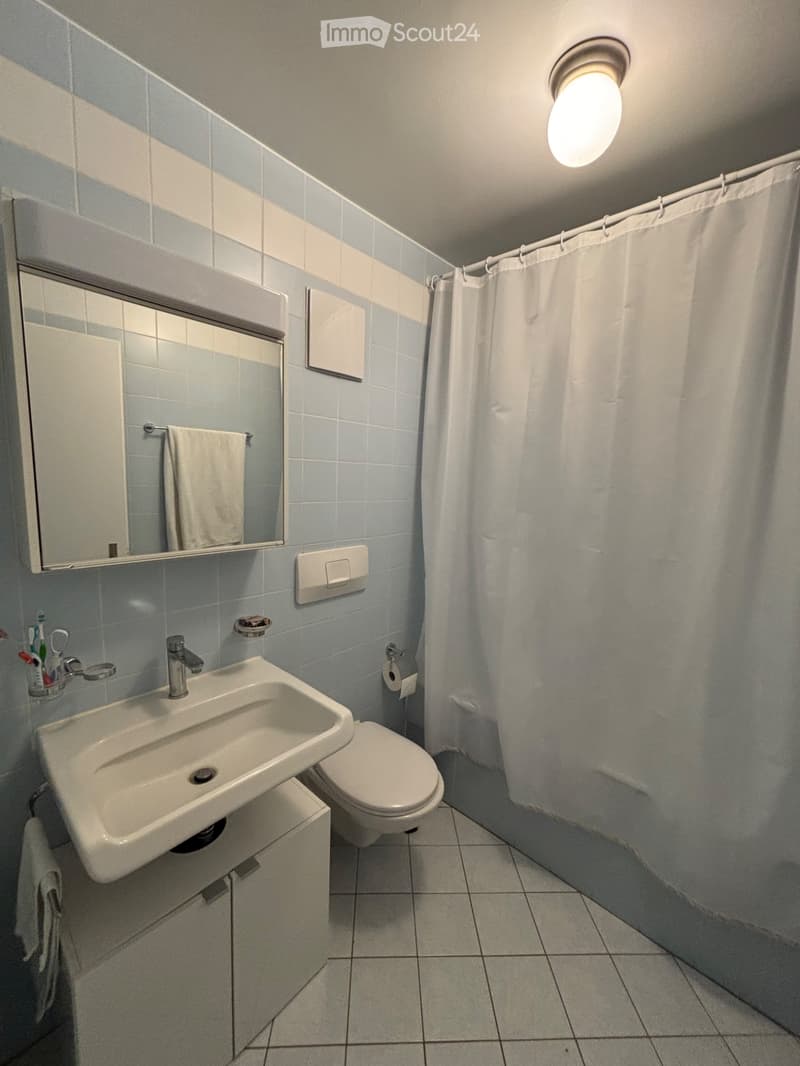 Charmantes Apartment in Chexbres (5)