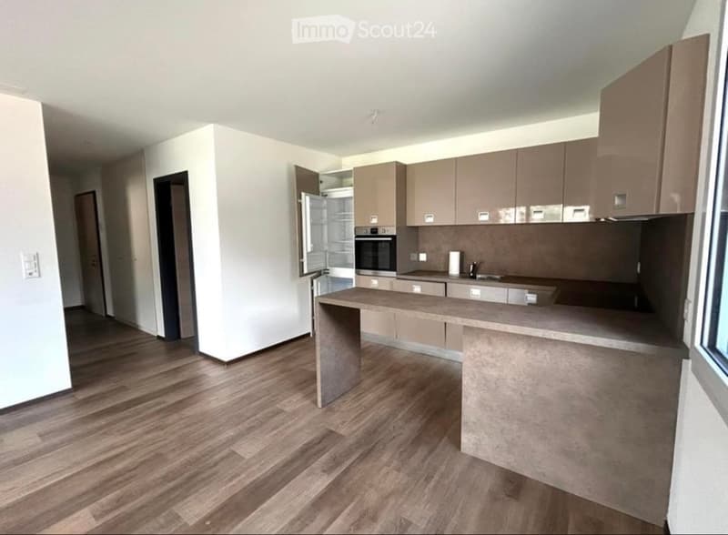 Subnehmer für 3.5-Zimmer-Wohnung in Giubiasco gesucht (5)