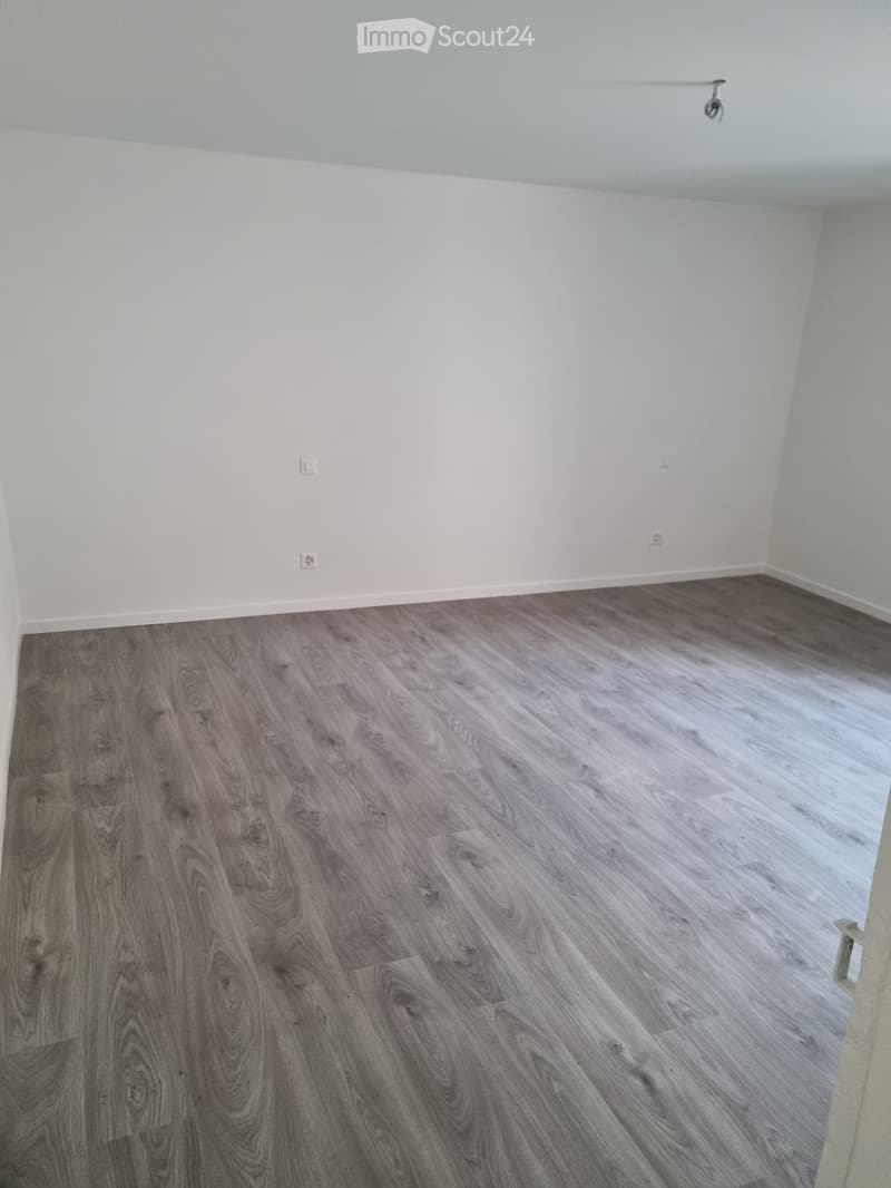 3,5 Zimmer renoviert im Kern von Aranno (3)