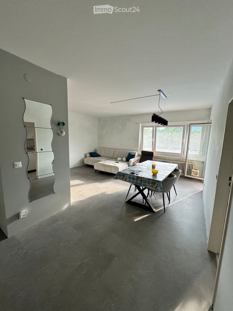 GERÄUMIGES 4.5-ZIMMER-WOHNUNG MIT SCHWIMMBAD UND TERRASSE (1)