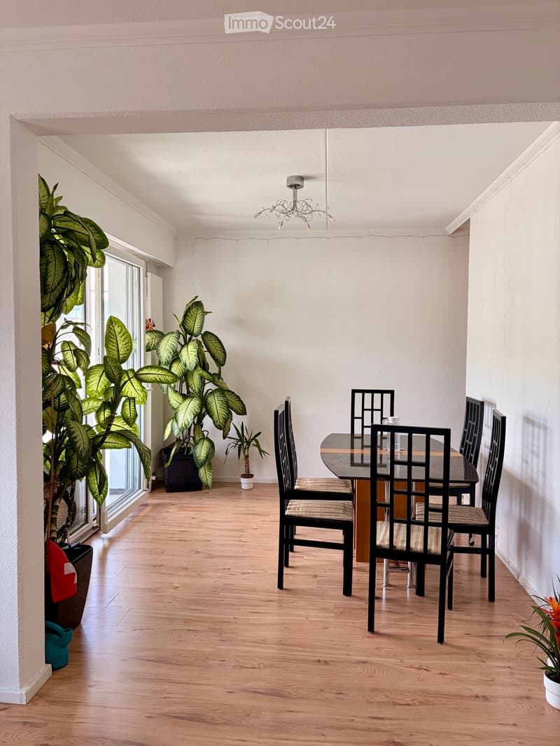 Appartement spacieux de 4,5 pièces avec balcon (2)