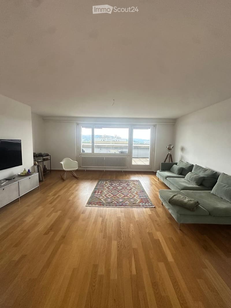 Attika-Wohnung mit 80m² Dachterrasse (1)