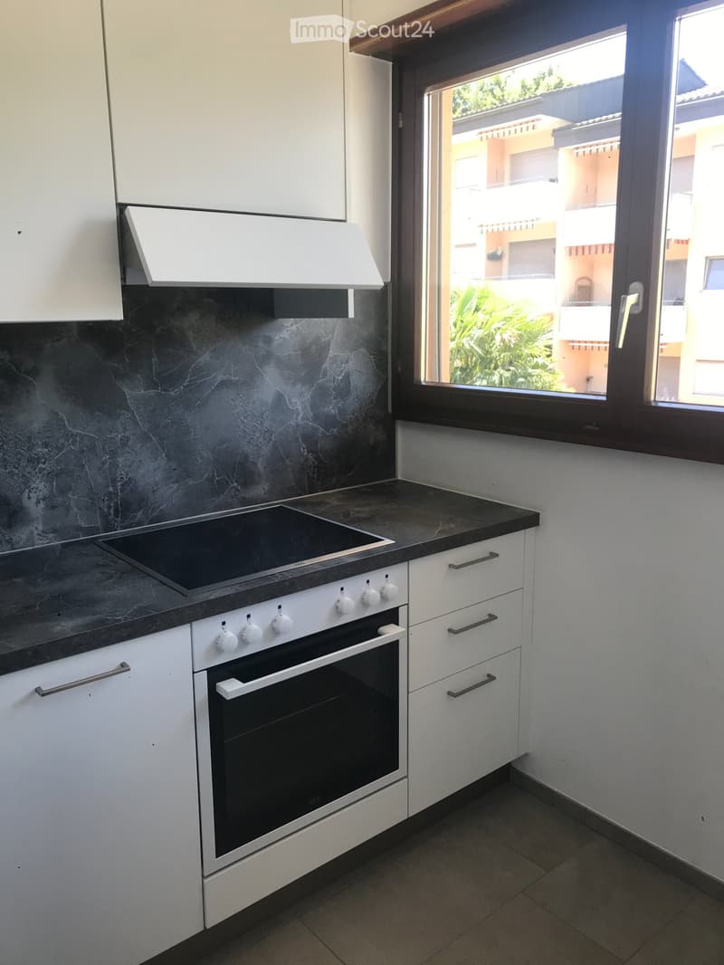 Bellissimo app. 1.5 locali a Breganzona con piscina. (3)