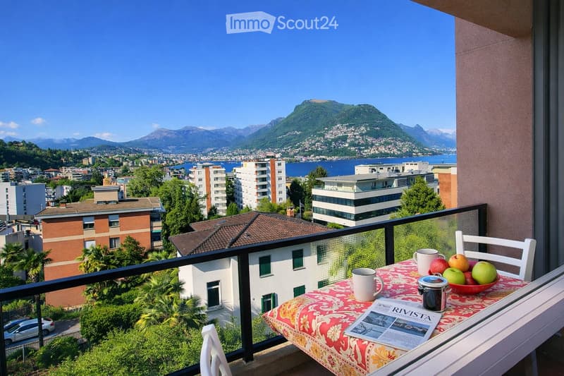 Subentro appartamento 3.5 locali Paradiso (5)