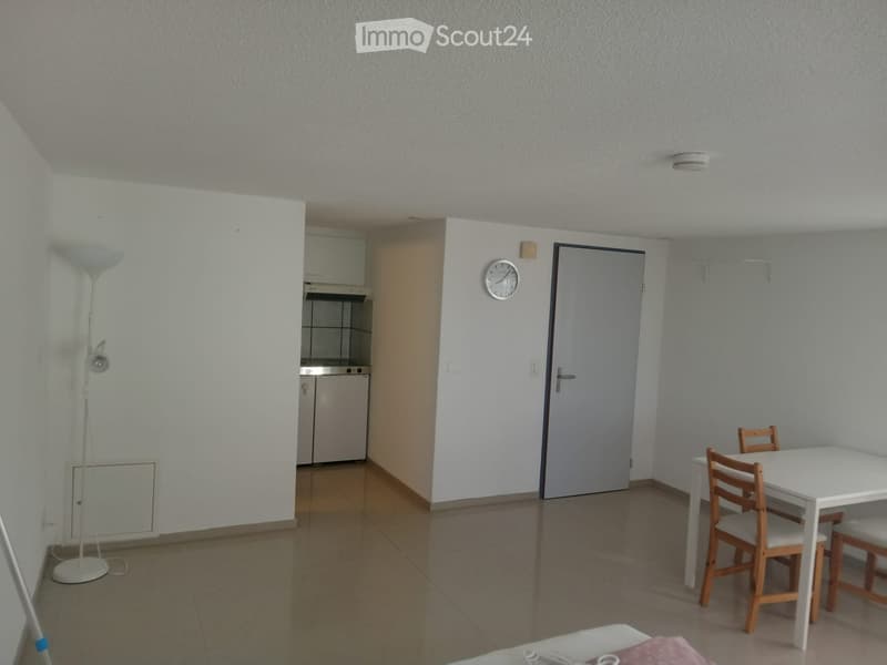 1 Zimmer Studio mit Kochnische/Bad/Keller (2)
