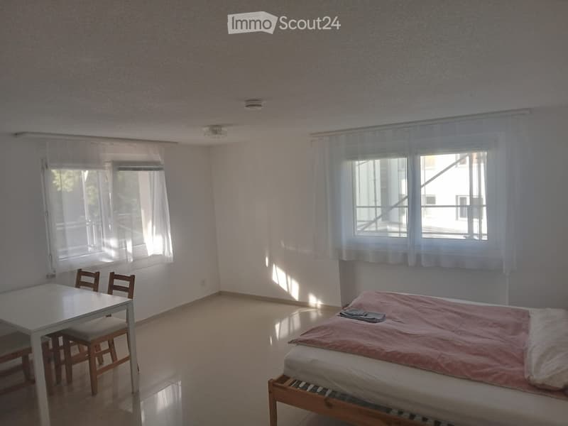 1 Zimmer Studio mit Kochnische/Bad/Keller (1)
