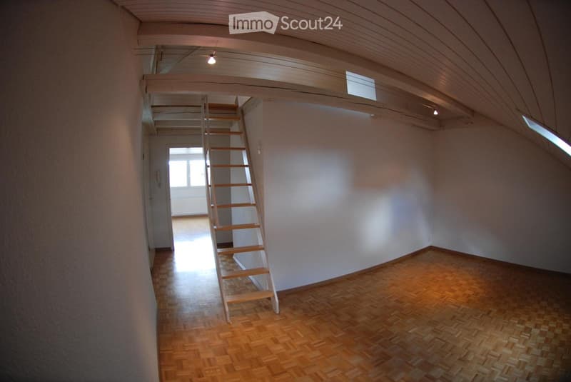 Appartamento mansardato con galleria (5)