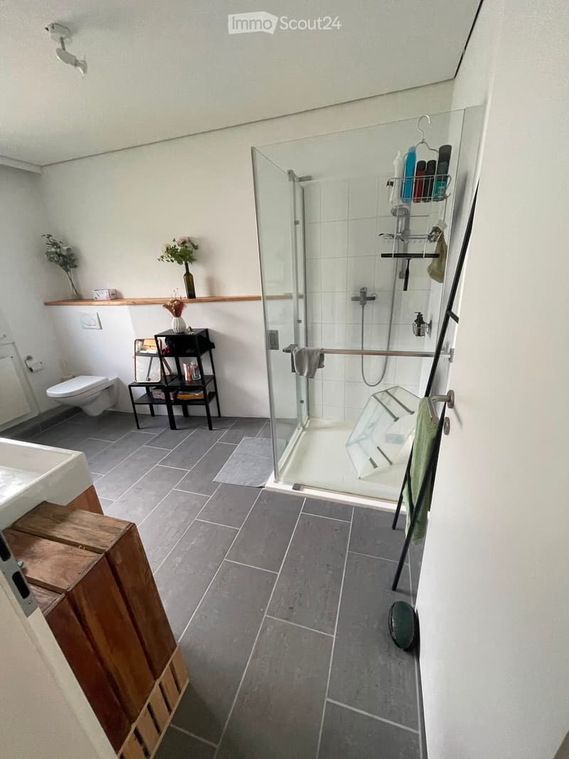 Large house with three bathrooms, also suitable for shared accommodation (3)