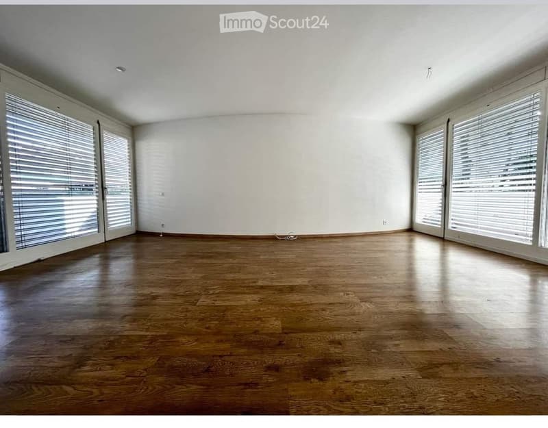 3,5 Zimmer Wohnung Tessin/Appartamento di 3,5 locali Ticino (4)