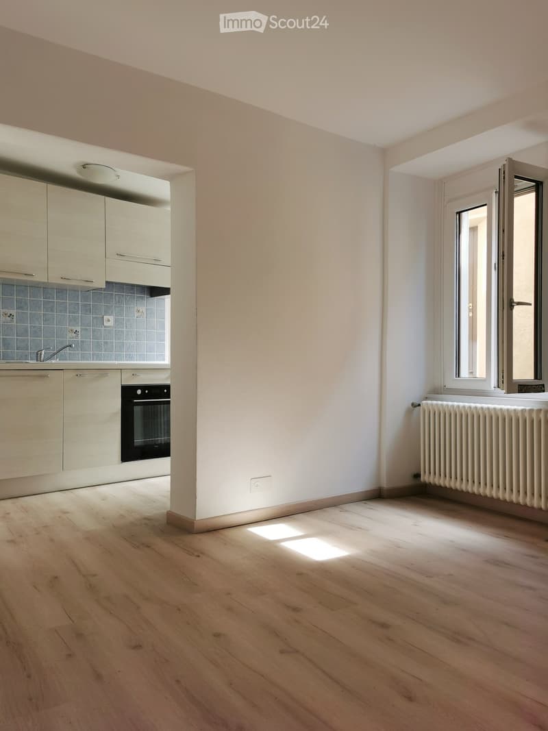 Appartement deux pièces (2)