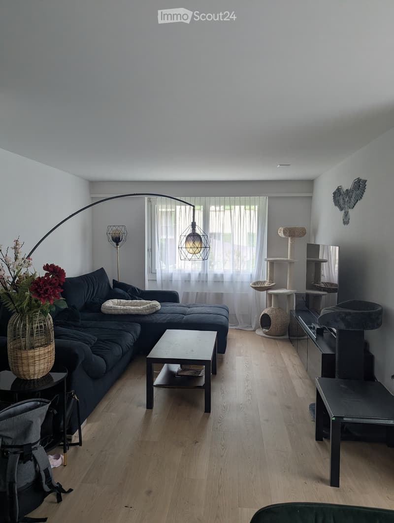 Appartement 4.5 pièces au cœur de Schwyz (3)