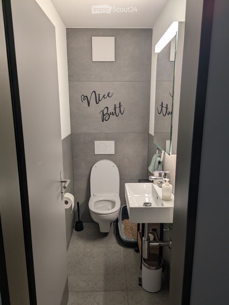Appartement 4.5 pièces au cœur de Schwyz (5)